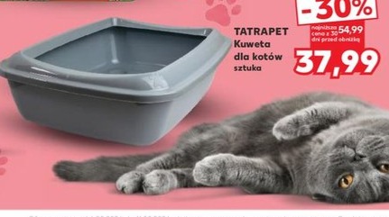 Kuweta dla kotów