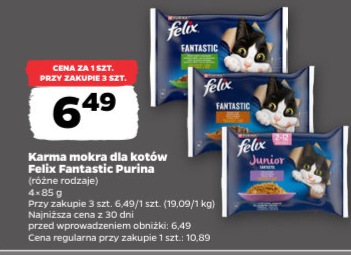 Karma mokra dla kotów
