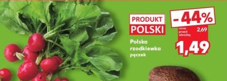 rzodkiewka