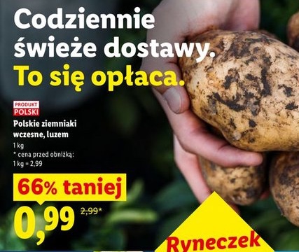 ziemniaki wczesne