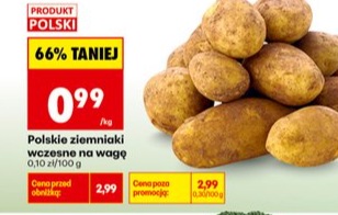 polskie ziemniaki wczesne