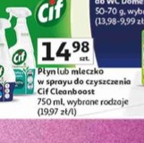 Płyn lub mleczko w sprayu do czyszczenia