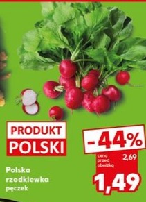 rzodkiewka