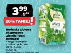 Herbata ziołowa ekspresowa