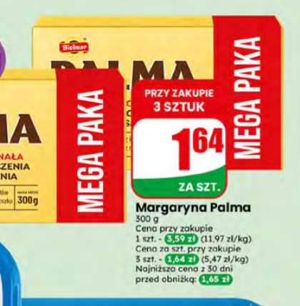 margaryna Palma