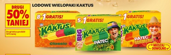 lodowe wielopaki Kaktus Classic