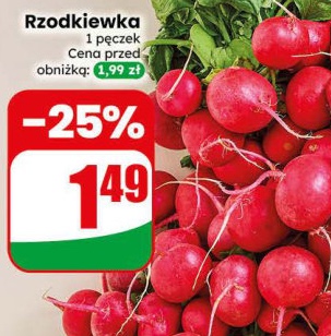 rzodkiewka