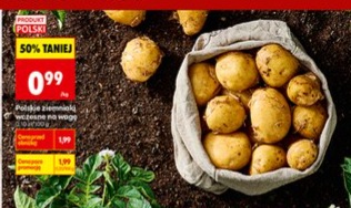 ziemniaki wczesne na wagę