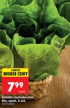 Sałata rzymska mini