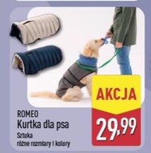 Kurtka dla psa