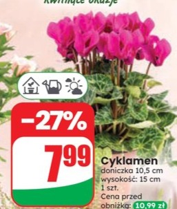 Regularna