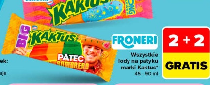 Wszystkie lody na patyku marki Kaktus