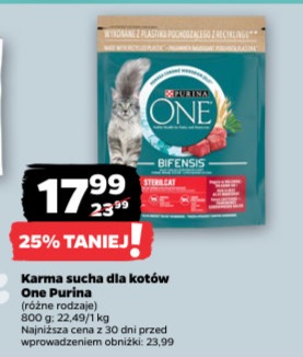 karma sucha dla kotów