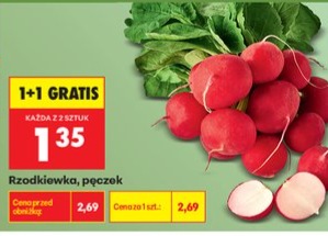 rzodkiewka