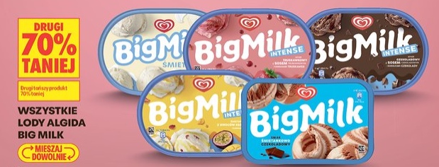 Wszystkie lody Algida Big Milk