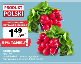 rzodkiewka