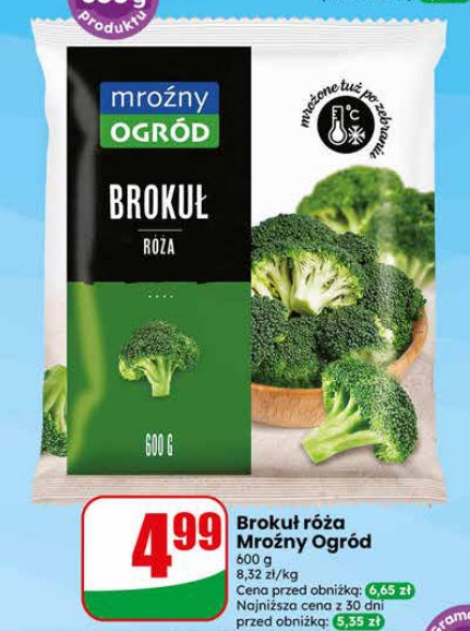 brokuł róża