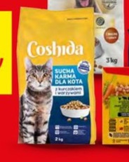 sucha karma dla kota z kurczakiem i warzywami