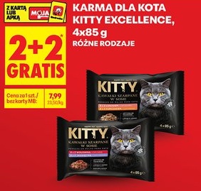 Karma dla kota w saszetkach