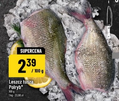 Leszcz tusza