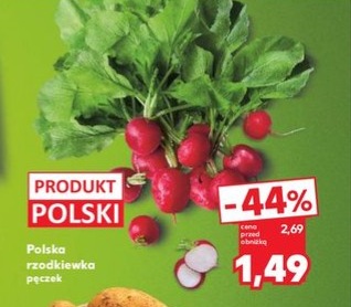 rzodkiewka