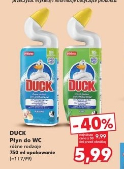 Płyn do WC