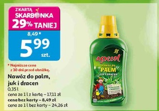 Nawóz do palm, juk i dracen