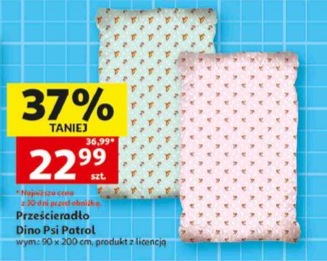 Prześcieradło Dino Psi Patrol