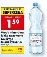 Woda mineralna lekko gazowana Muszyna Skarb Życia