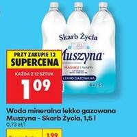 Woda mineralna lekko gazowana