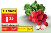 Rzodkiewka