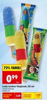 Lody wodne Wojanek