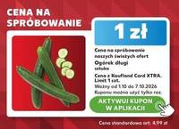 Ogórek długi