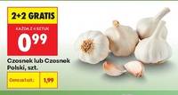 Czosnek