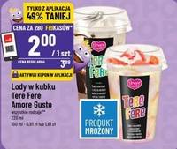 Lody w kubku Tere Fere Amore Gusto