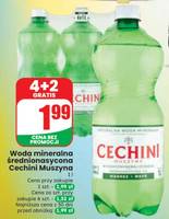 Woda mineralna średnionasycona