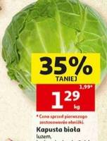 Kapusta biała