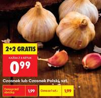 Czosnek polski młody