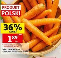 Marchew młoda