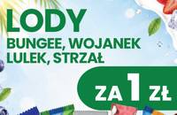 Lody Iza