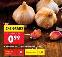 Czosnek