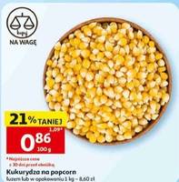 Kukurydza na popcorn