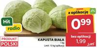 Kapusta biała